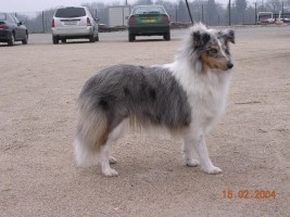 U'nala bleue du Trésor d'Ysatis